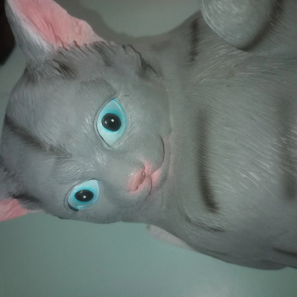 Cat Tissue Holder